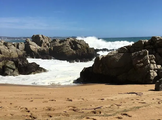 Cabanas En Algarrobo Norte
