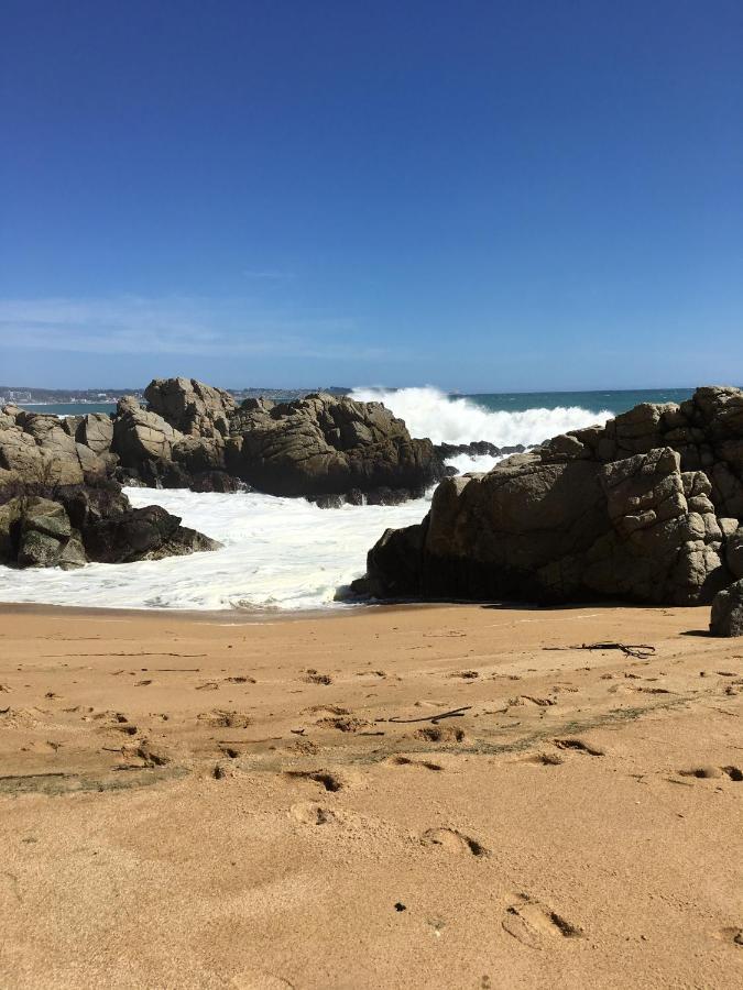 En Norte * Algarrobo